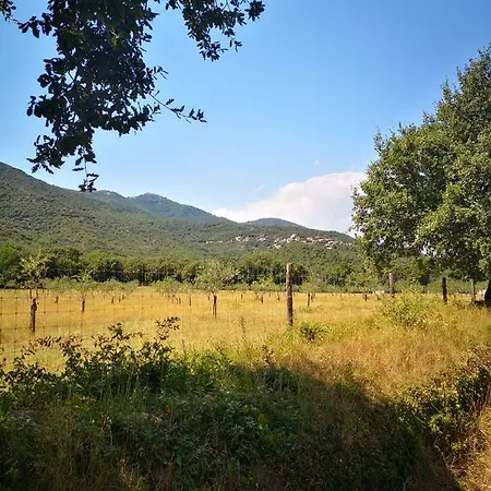 Maison Catalane Climatisee - Jardin Intimiste & Piscine Chauffee - 15 Km Argeles Villelongue-dels-Monts